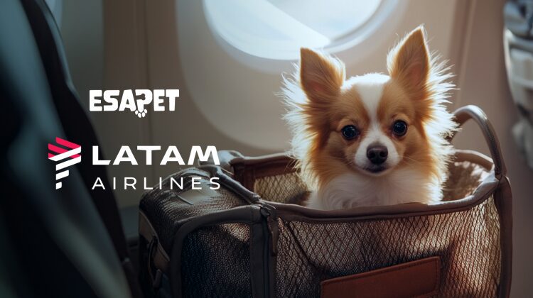 Latam Pet Policy
