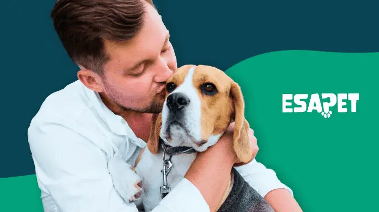 What Are the Mental Health Benefits of Emotional Support Animals? 46 Emotional Support Animal Benefits