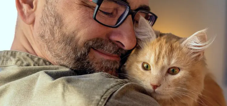 Can You Take a Cat on a Plane? Airline Rules, Costs & How to Fly With Your Cat 12 Emotional Support Cat