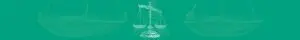 Emotional Support Animal vs Service Animal: Differences, Rights, and Laws 46 Service and Emotional Support Animals Laws