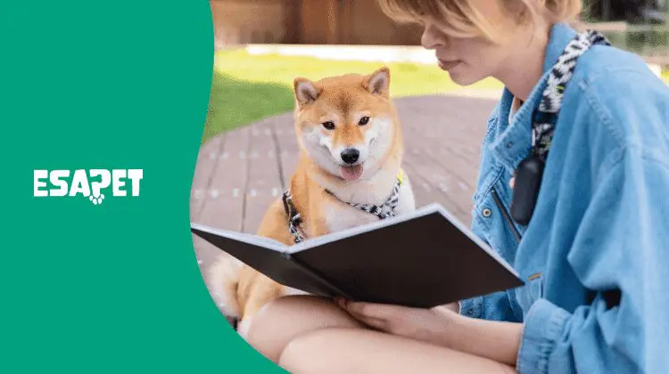 Colleges That Allow Pets in Dorms: Service Animals and ESAs 1 colleges that allow pets in dorms