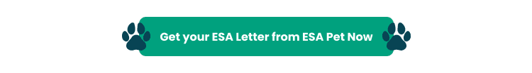 ESA Forms & Letters: Everything You Need to Know 9 esa button