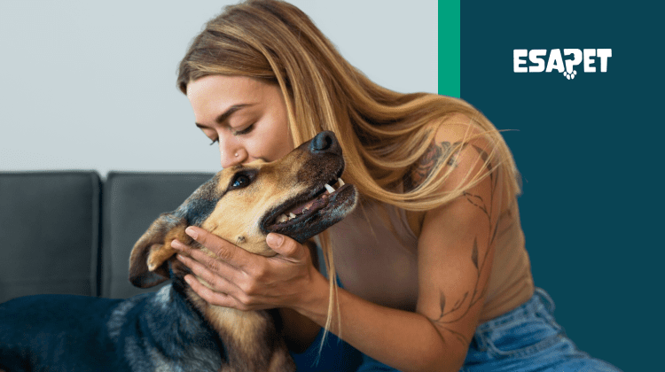 What Disabilities Qualify for an Emotional Support Animal? (Full List) 71 What Disabilities Qualify for an Emotional Support Animal_