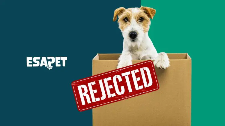 Can a Landlord Reject an Emotional Support Animal? 28 Can a Landlord Reject an Emotional Support Animal