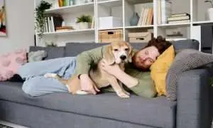 How To Get An ESA Letter with ESAPet