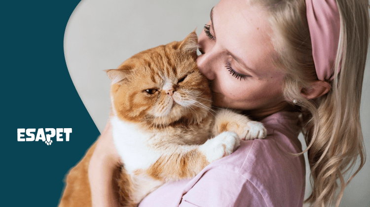 Emotional Support Cat How to Register and Benefits