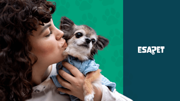 Emotional Support Dogs