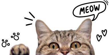 map-meow-cat