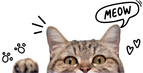 meow-affilate