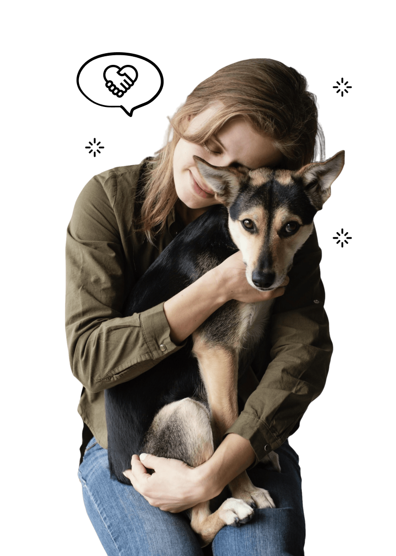 colorado-dog