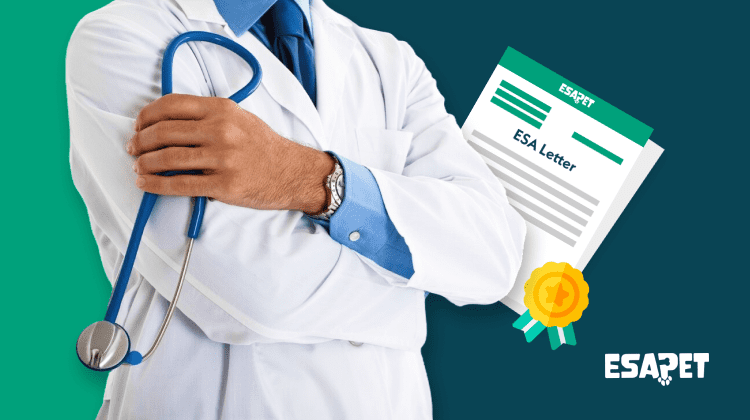 Who can write an emotional support animal letter (ESA letter) legally? (2026 Update) 14 definition, rights, and responsibilities of emotional support animals