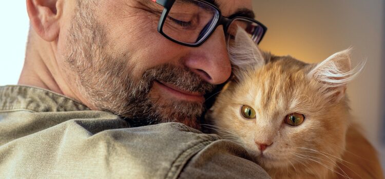 Can You Bring Cats on a Plane? A Complete Guide for 2026 12 Emotional Support Cat