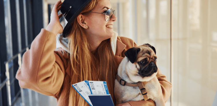 Alaska Airlines Pet Policy: Learn How to Fly With Your Pet in 2026 4 International and Hawaii Pet Travel Rules