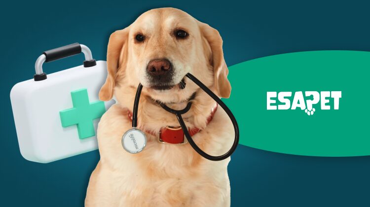 Medical Alert Service Dog