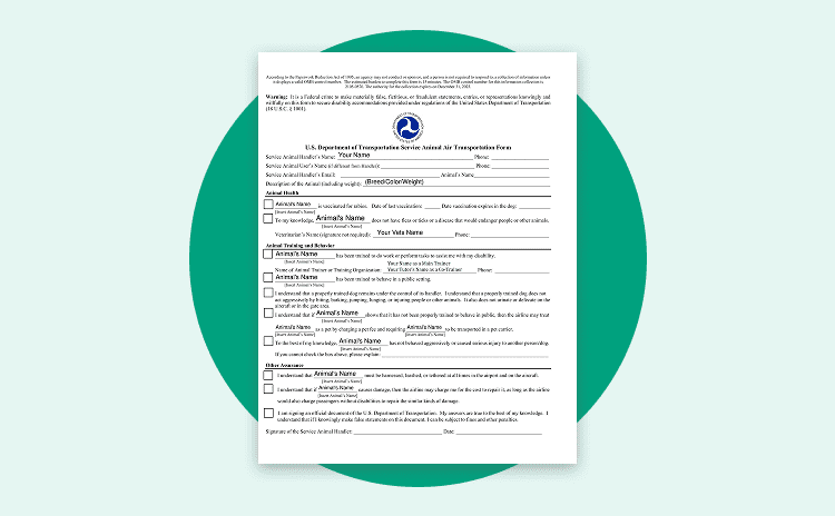 Air Carrier Access Act: Guide for Traveling with a Disability 4 Documentation and Passenger Requirements