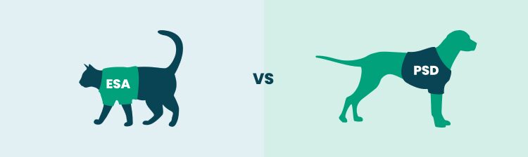 Differences Between ESAs and Service Animals