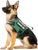 Dogs as Service Animals