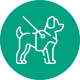 Guide Dogs