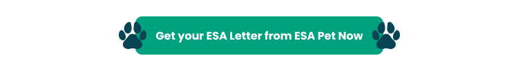 ESA Forms & Letters: Everything You Need to Know 9 esa button