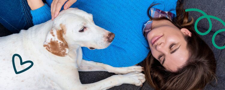 Anxiety Management: Real Strategies for Treatment and Relief (2026 Guide) 5 Assistance Animals Help