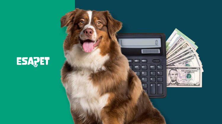 Pet fees