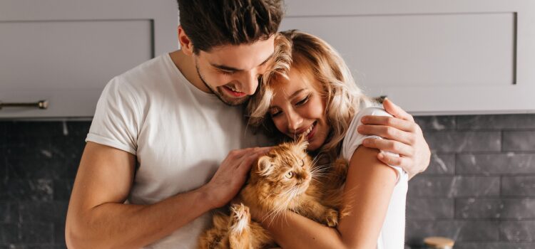 Emotional Support Cat Breeds for Comfort and Companionship 10 Cats as Emotional Support Animals