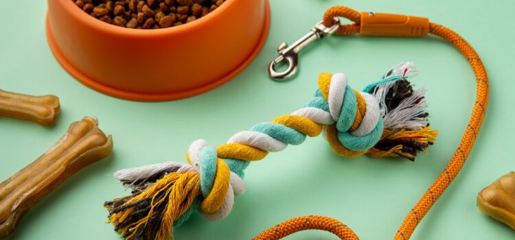 How to Teach a Puppy to Walk on a Leash: The Loose-Leash Guide 16 Essential Tools for Puppy Leash Training