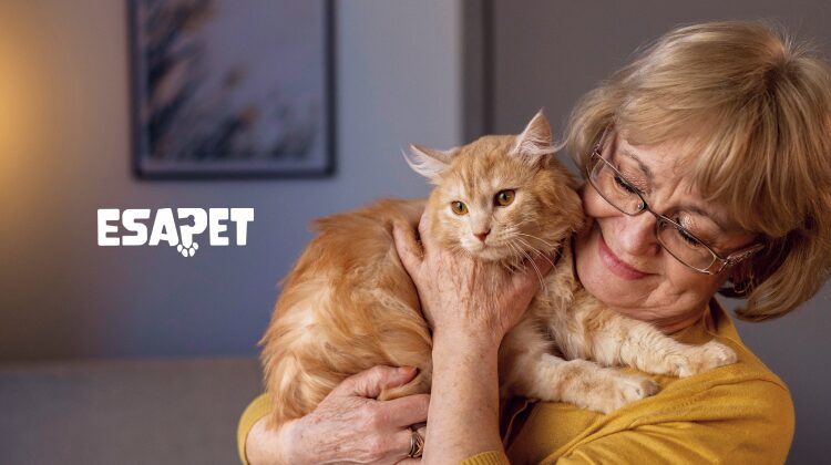 emotional support cat breeds