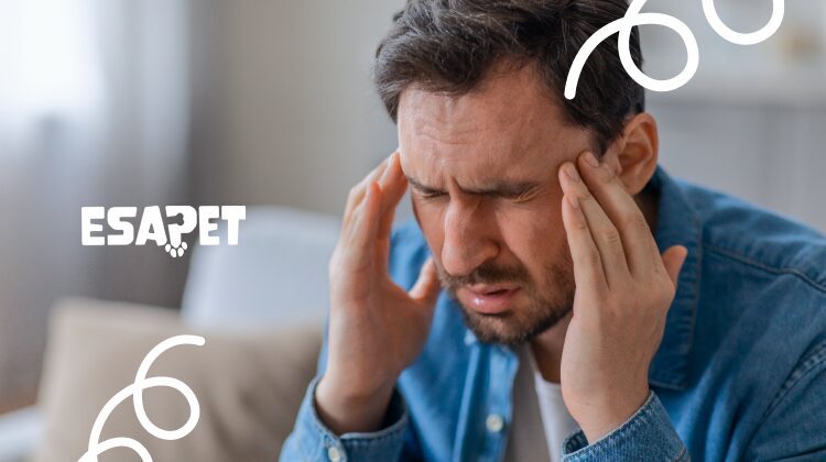 Migraine Treatments: Acute, Preventive & Holistic Options 61 migraine treatments
