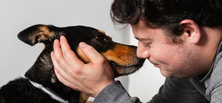 Lupus Treatment Options: Symptoms, Diagnosis & Alternative Treatments 8 Emotional Support Animals