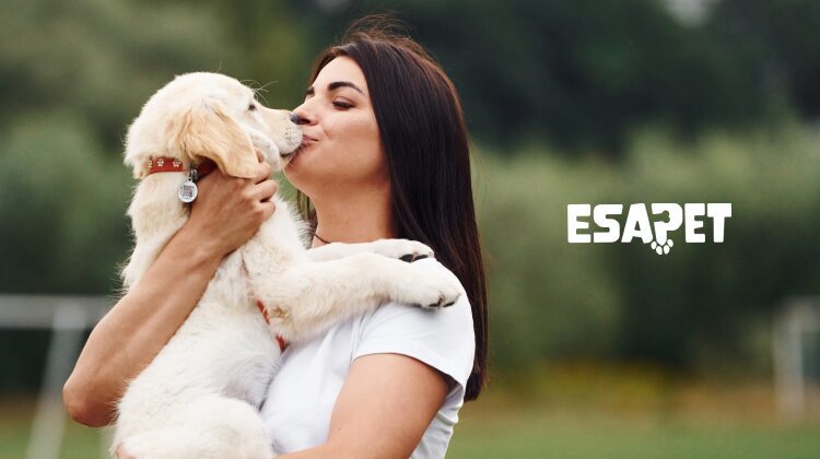 how to take care of a dog