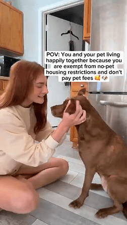 pet