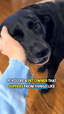 pet