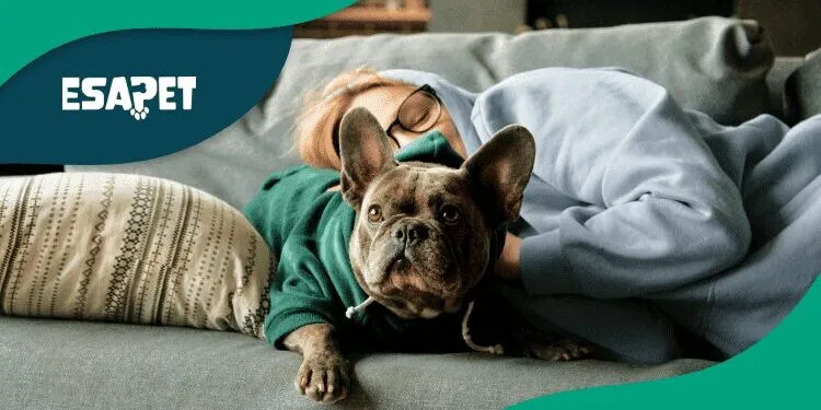Fibromyalgia Service Dog